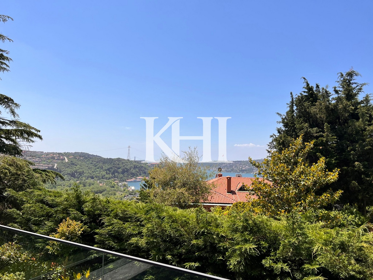 Bosphorus View Villa in Istanbul Slide Image 30