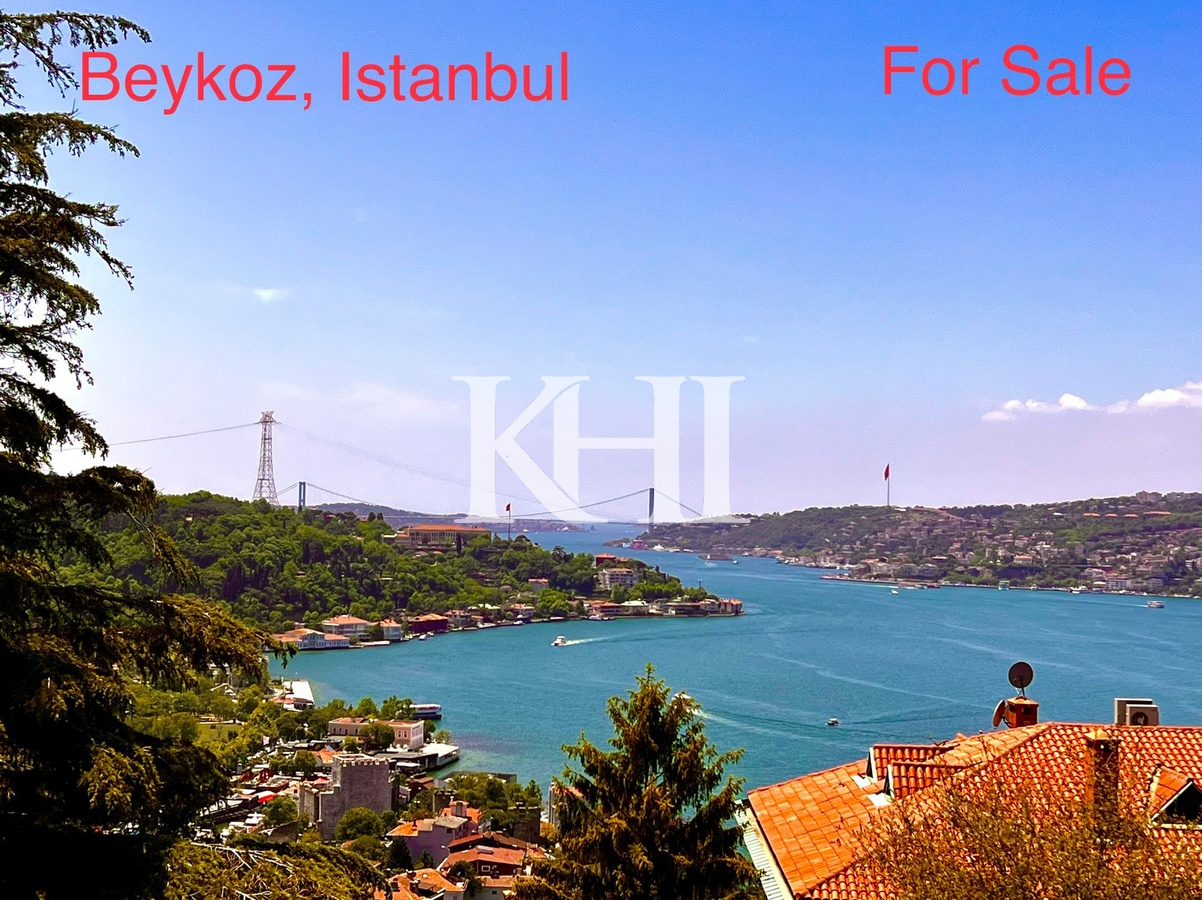 Bosphorus View Villa in Istanbul Slide Image 28